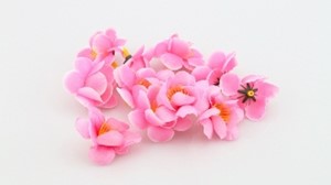 图片 1091櫻花朵
