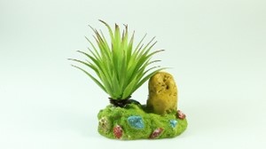 图片 1025綠黃石菠蘿