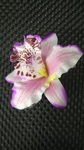 图片 1126紫艷單花（12朵）