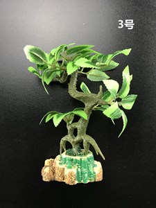 图片 1102綠楓(1號.2號.3號隨機)