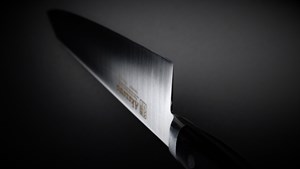 Picture of Akazawa Thin Inox Gyuto